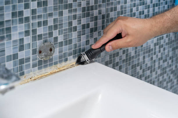 Best Mold Remediation  in Clymer, PA