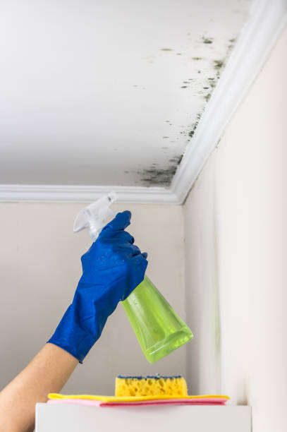 Best Mold Testing  in Clymer, PA